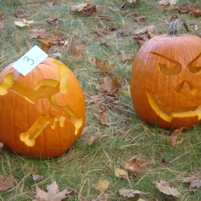 A skull-and-crossbones pumpkin beside a scowling jack-o’-lantern