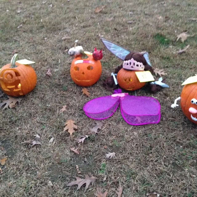 A row of entries including a fairy pumpkin with wings and a tiara, and a Mrs. Potato Head pumpkin
