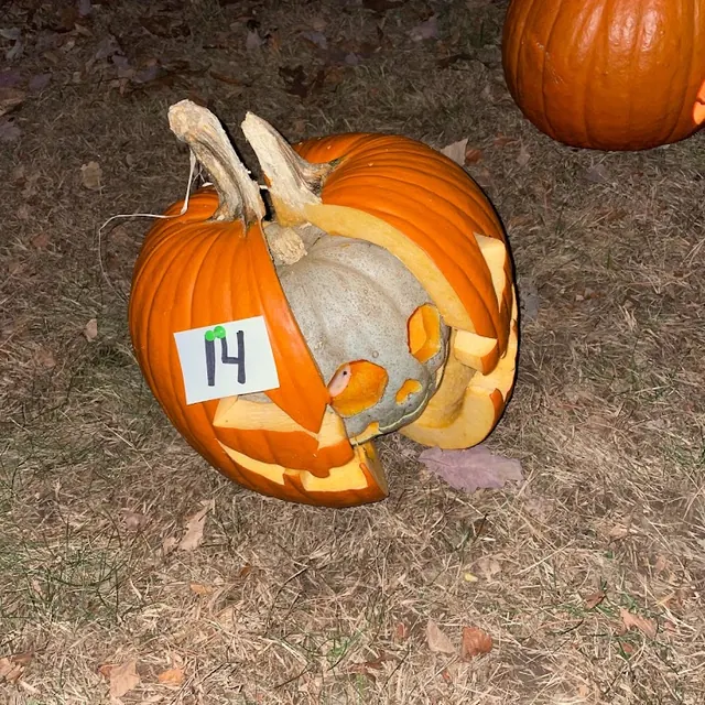 A big pumpkin with its mouth open, swallowing a smaller gray pumpkin